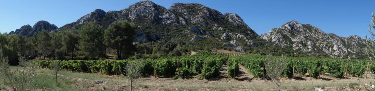 Les Lavandins-Gite Frederic Villa Saint-Remy-de-Provence Exterior photo