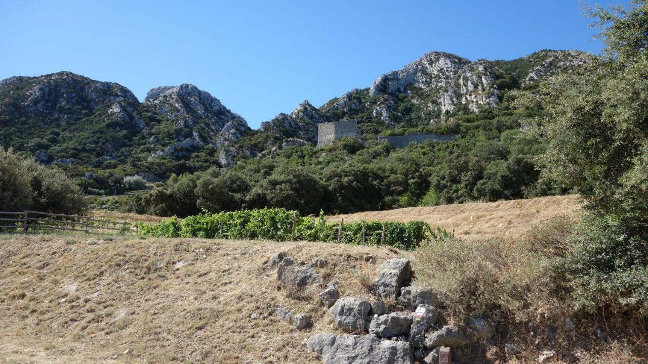 Les Lavandins-Gite Frederic Villa Saint-Remy-de-Provence Exterior photo