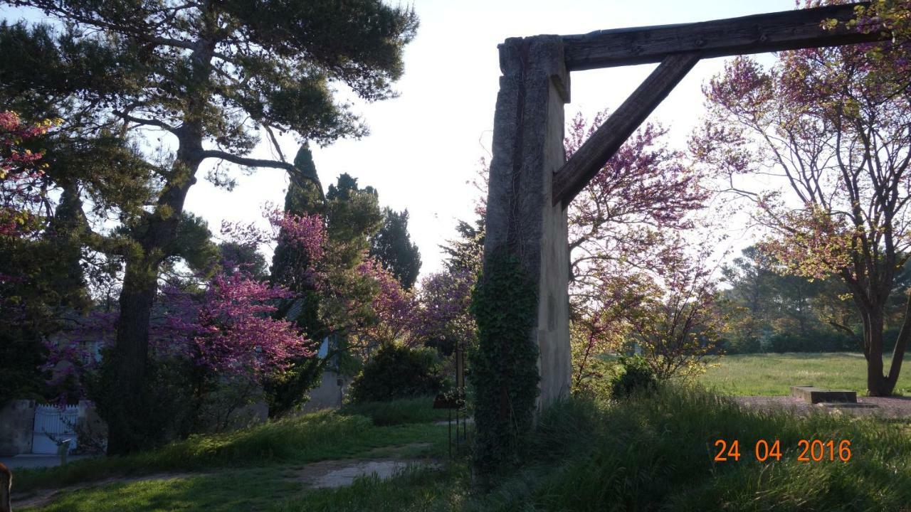 Les Lavandins-Gite Frederic Villa Saint-Remy-de-Provence Exterior photo